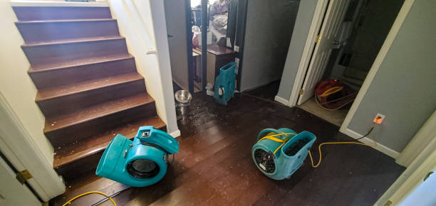 Best Water damage restoration near me  in Montoursville, PA