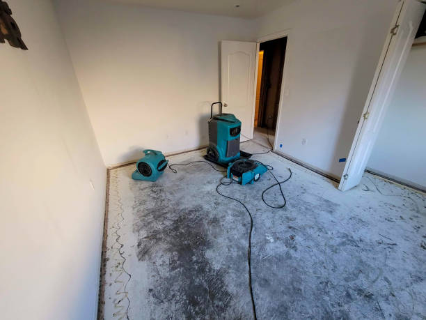 Best Professional water damage repair  in Montoursville, PA