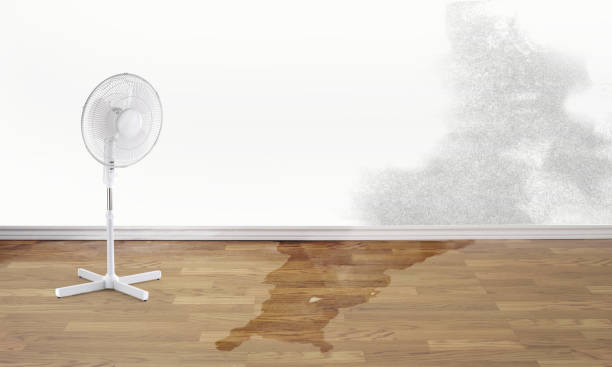 Best Sewage cleanup and water damage restoration  in Montoursville, PA