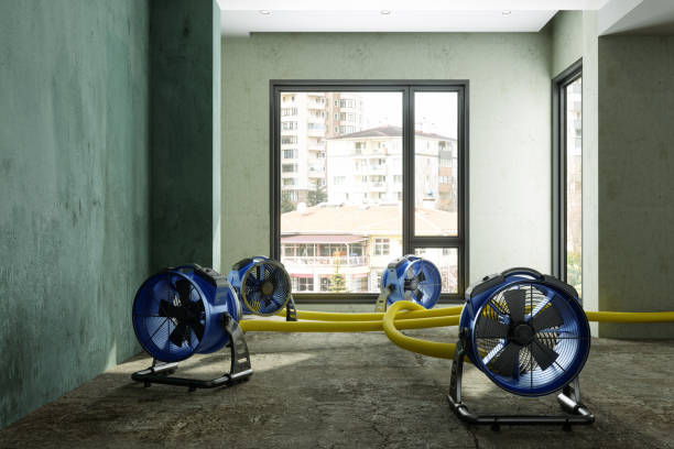 Trusted Montoursville, PA Water damage restoration Experts