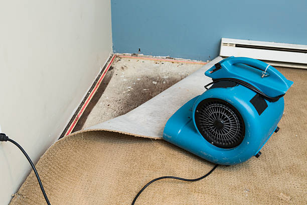 Best Carpet water damage restoration  in Montoursville, PA